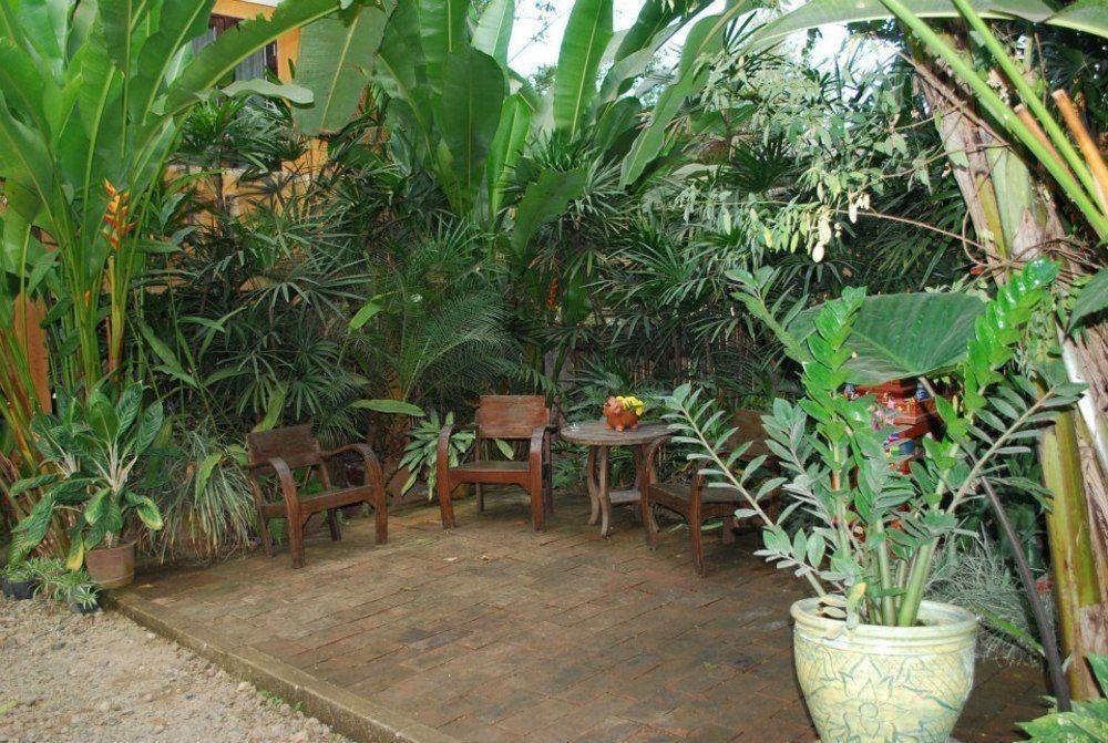 Breeze Of Pai Guesthouse Εξωτερικό φωτογραφία